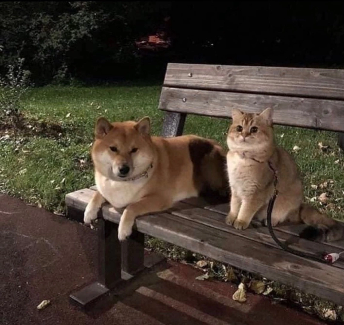 솔직히 지금 여기 사이트이름 별로임.